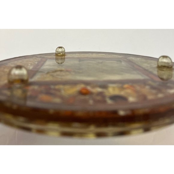 Vintage Pressed Flower Butterfly Seed Bean Corn Round Lucite Hotplate Trivet - Picture 2 of 8